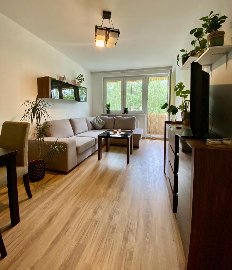 Apartament Oliwa